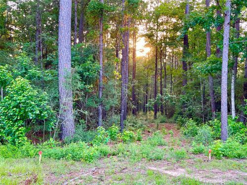1-1-31 Texas Grand Road, Huntsville, TX, 77340 | Card Image