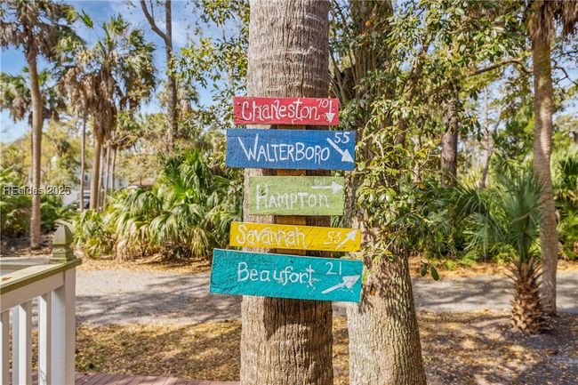 Outdoor palm tree feature right next to the very spacious driveway. | Image 59