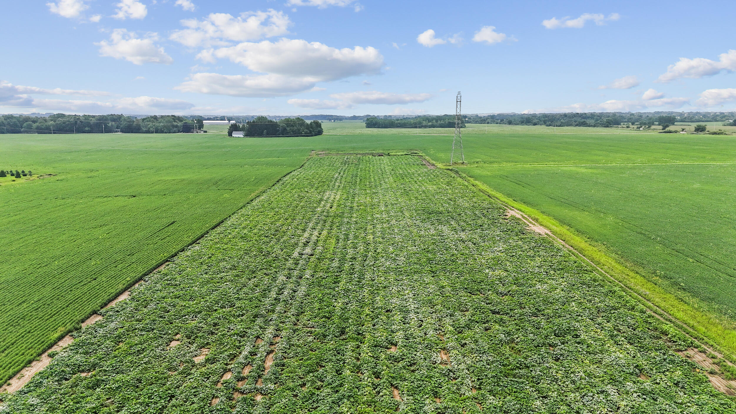 Land in Caledonia 5