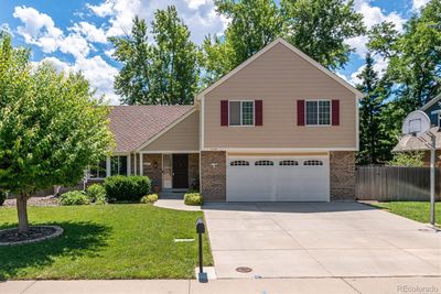 6644 W Roxbury Place, House other with 4 bedrooms, 2 bathrooms and 4 parking in Littleton CO | Image 3