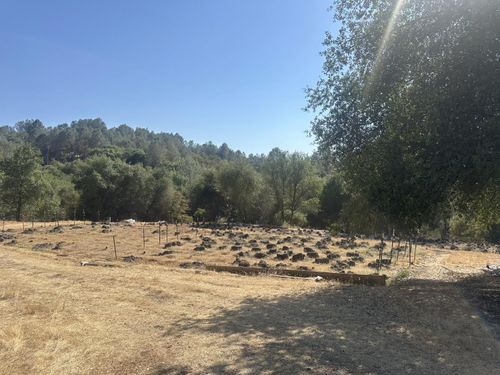 23218 Big Oak Dr, Smartsville, CA, 95977-9576 | Card Image