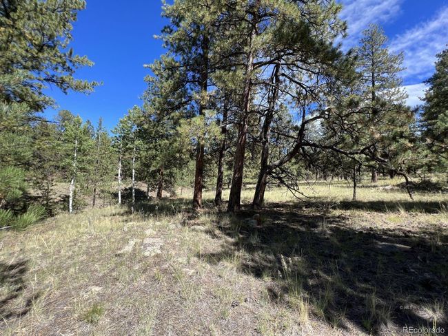 82 Kiowa Cir, Home with 0 bedrooms, 0 bathrooms and null parking in Westcliffe CO | Image 26