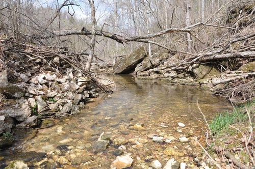 001-00494-003 Tator Knob Lane, Yellville, AR, 72687 | Card Image