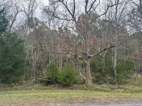 22 S Forest Cove Loop, Coldspring, TX, 77331-3118 | Card Image