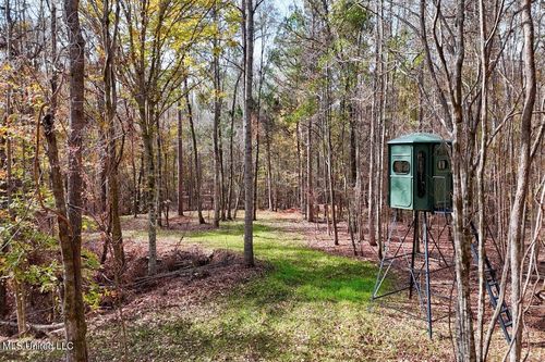 8145 Gordon Station Rd, Port Gibson, MS, 39150-2836 | Card Image