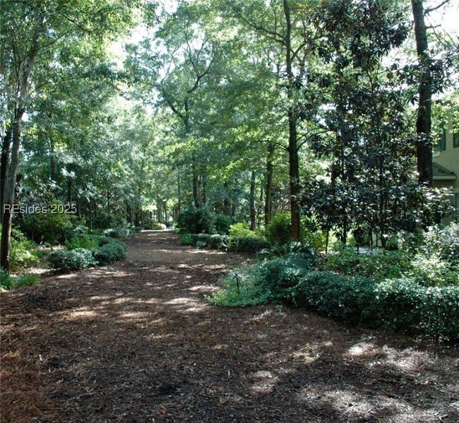 Nature Walk | Image 35