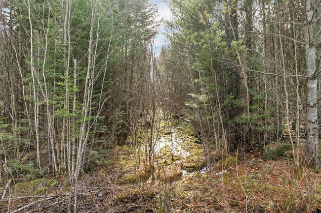 Lot 109 Steeple View Dr, Home with 0 bedrooms, 0 bathrooms and null parking in Bethlehem NH | Image 11