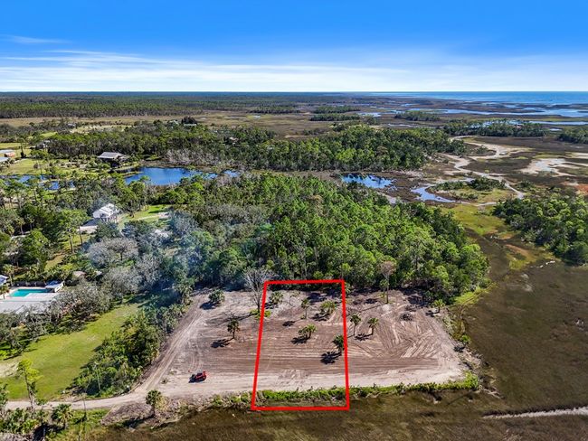159 Sw 273rd Ave, Home with 0 bedrooms, 0 bathrooms and null parking in Steinhatchee FL | Image 6