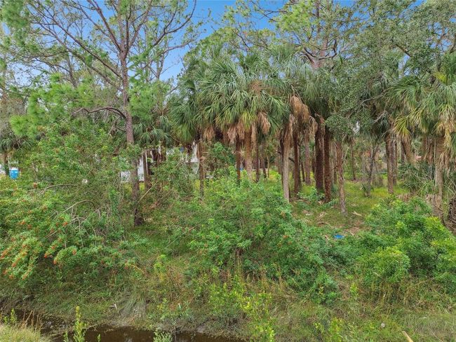 00 Phoenix Ave, Home with 0 bedrooms, 0 bathrooms and null parking in OLDSMAR FL | Image 19