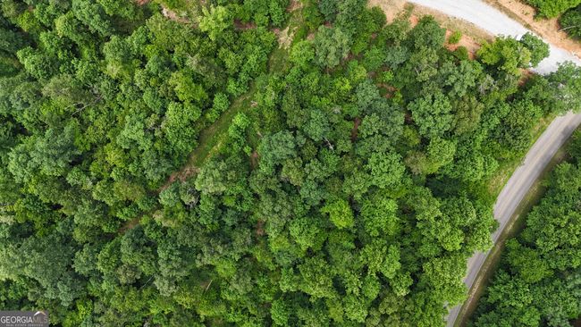 2.4 ACRES Wilkinson Rd, Home with 0 bedrooms, 0 bathrooms and null parking in Baldwin GA | Image 5