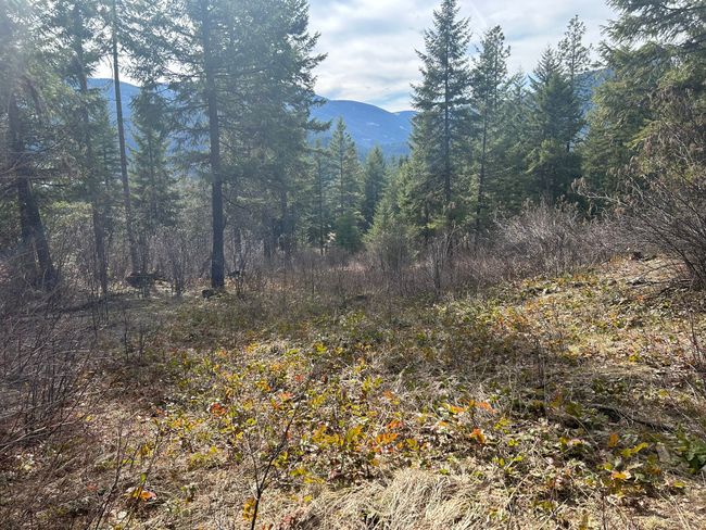 5 Red Fir Ln, Home with 0 bedrooms, 0 bathrooms and null parking in Noxon MT | Image 12