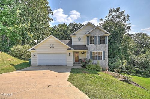 317 Henrys Lane, Bristol, VA, 24202 | Card Image