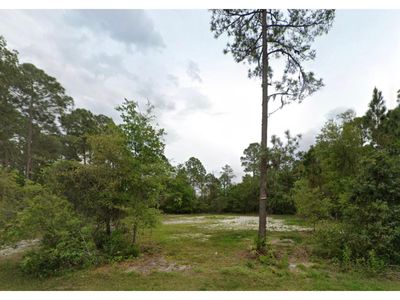 219 Fort Florida Road, Home with 0 bedrooms, 0 bathrooms and null parking in Debary FL | Image 2