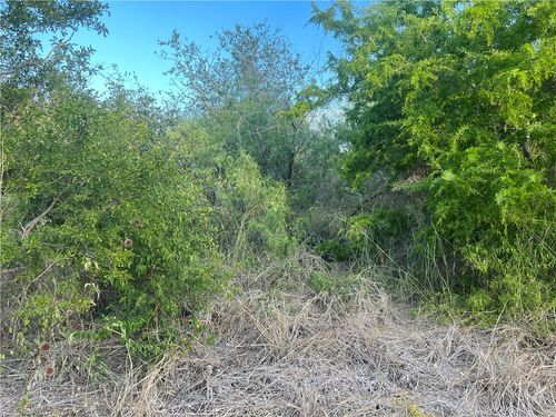 tbd Flores St, Mathis, TX, 78368 | Card Image