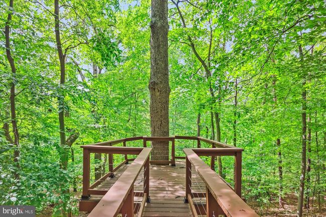 6364 Evangeline Ln, House other with 5 bedrooms, 6 bathrooms and null parking in ALEXANDRIA VA | Image 48