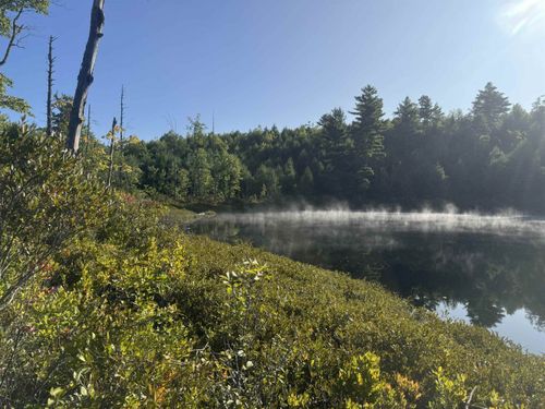 40 Granite Rd, Ossipee, NH, 03864-7459 | Card Image