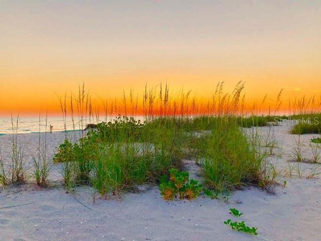 Sunset at the beach | Image 58