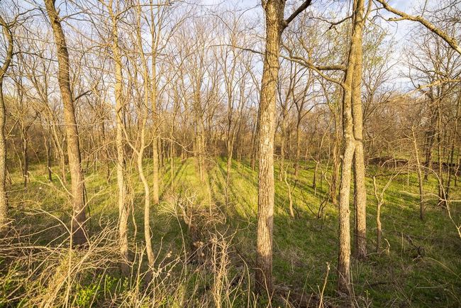 View of nature with a forest view | Image 91
