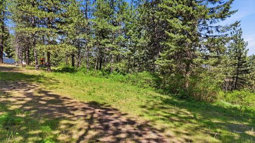 12703 S Alpine Fern Ln, Rockford, WA, 99030 | Card Image