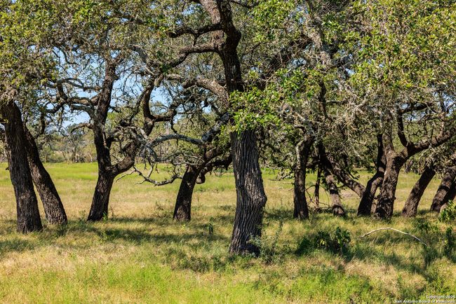 2250 Otte Rd, Home with 2 bedrooms, 2 bathrooms and null parking in Stonewall TX | Image 23