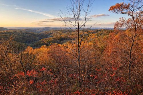 N7703 Wanlass Rd, Mindoro, WI, 54644-9478 | Card Image