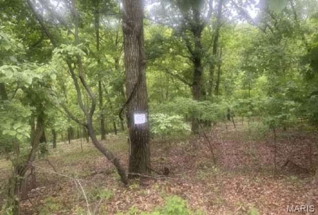 1361 Bear Canyon Rd, Home with 0 bedrooms, 0 bathrooms and null parking in Wildwood MO | Image 4