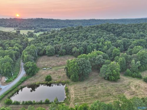 167 AC County Road 608, Valley Head, AL, 35989-3505 | Card Image