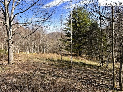 3 Larkspur Trl, Banner Elk, NC, 28604 | Card Image