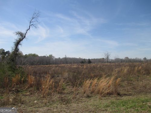 056019 Gibbs Bridge Rd, Uvalda, GA, 30473 | Card Image