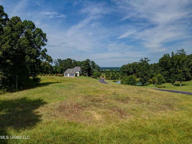 15-Ground-5 | Image 15