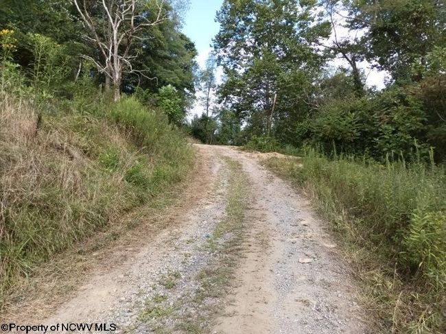 2410 Buckhannon Pike, Home with 0 bedrooms, 0 bathrooms and null parking in Mount Clare WV | Image 6