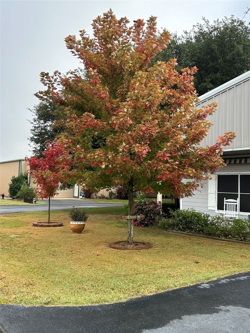 lot-210-14763 County Road 424, Lindale, TX, 75771-7835 | Card Image