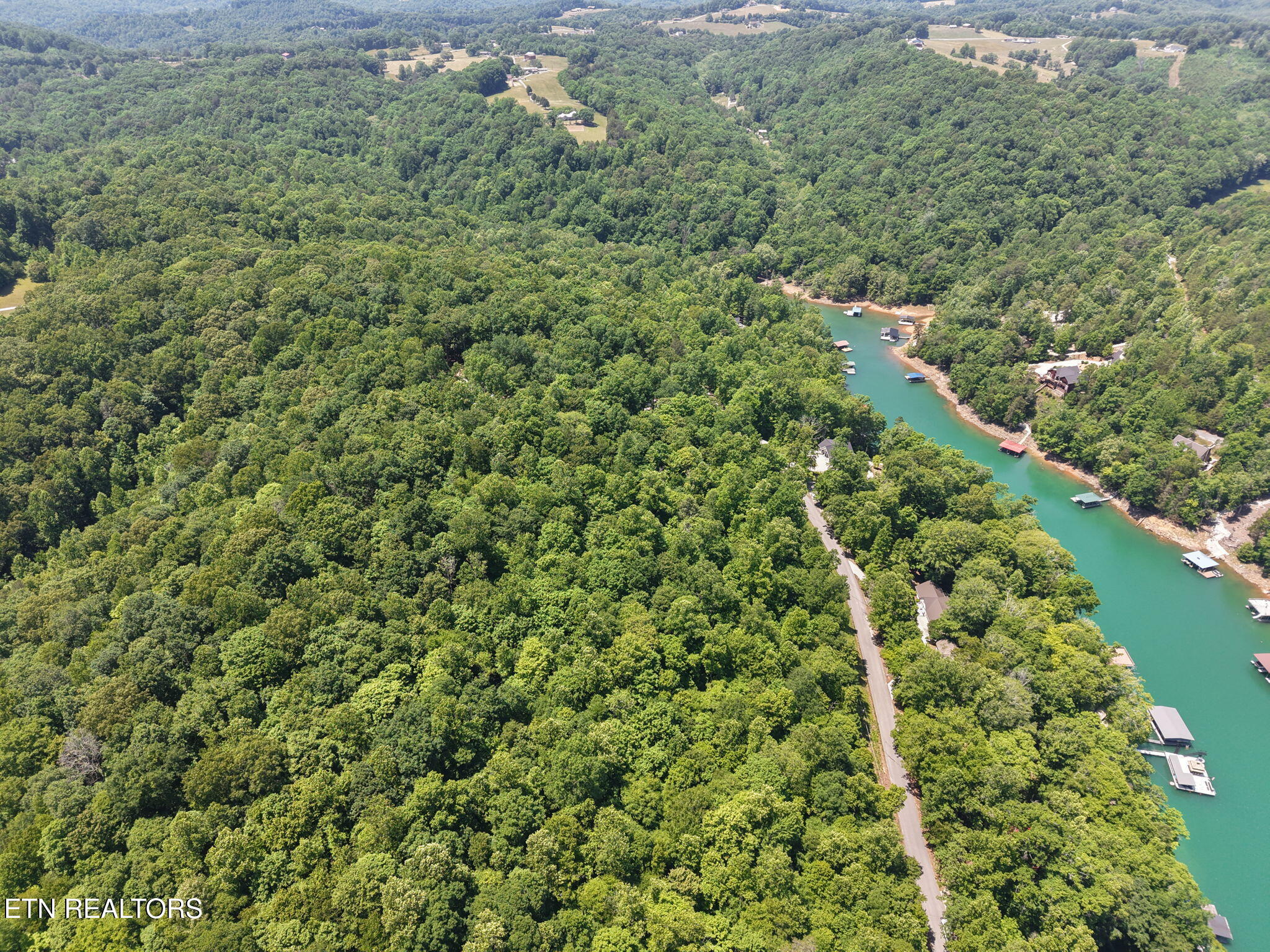 Land in Jacksboro 5