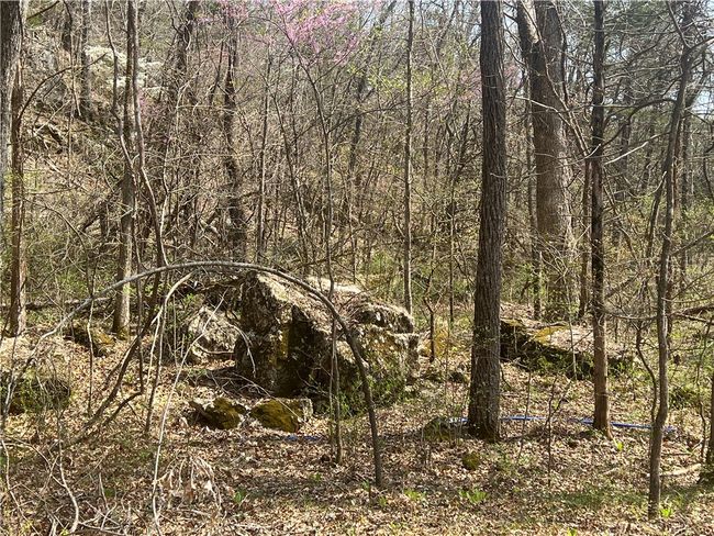 783 Nc 8400, House other with 2 bedrooms, 1 bathrooms and null parking in Jasper AR | Image 6