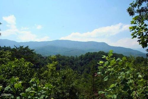 64 Vixen Run, Gatlinburg, TN, 37738 | Card Image
