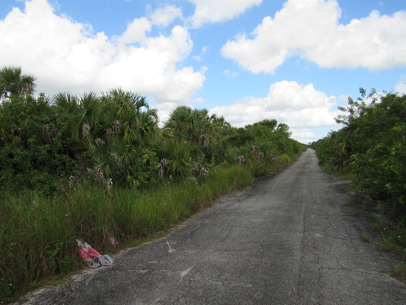 Other in Palm Bay 3