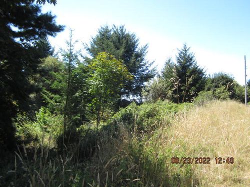 2030 Eileen Rd, Whitethorn, CA, 95589-8934 | Card Image