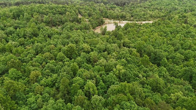DJI_20250515142440_0133_D | Image 5