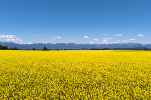 1000 Mt Highway 82, Somers, MT, 59932-9746 | Card Image