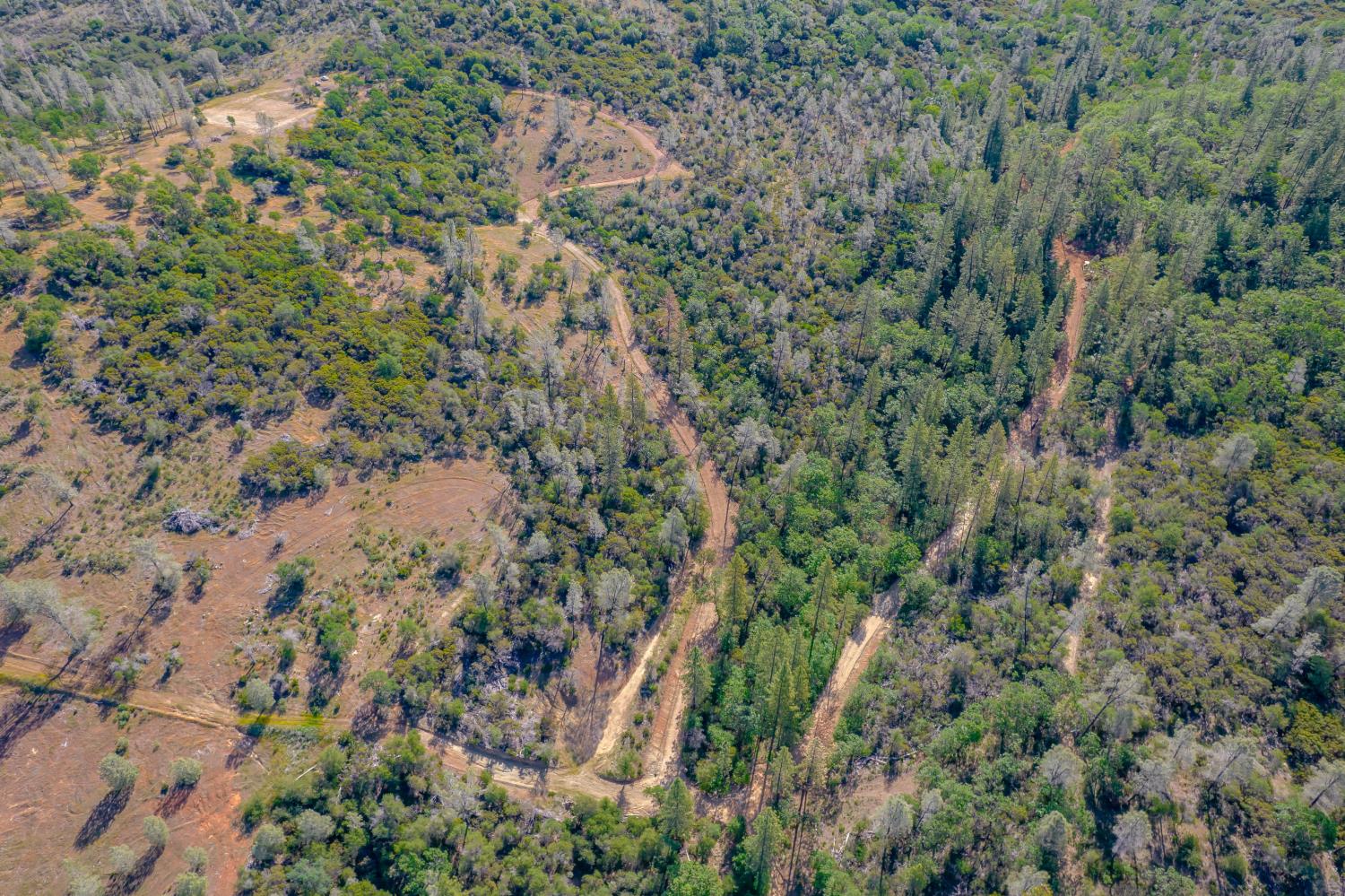 Land in Grass Valley 4
