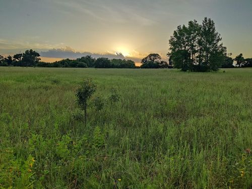 TBD An County Road 2218, Tennessee Colony, TX, 75861 | Card Image