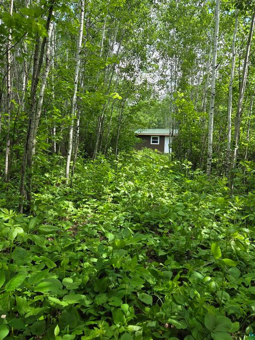 XXX M T Nelson Rd, Barnum, MN, 55707 | Card Image