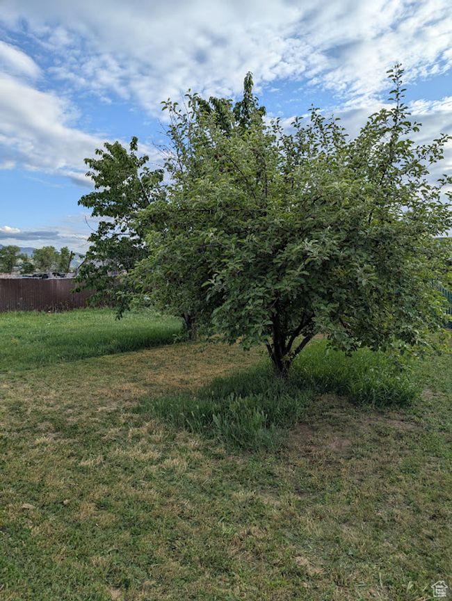 View of nature | Image 30