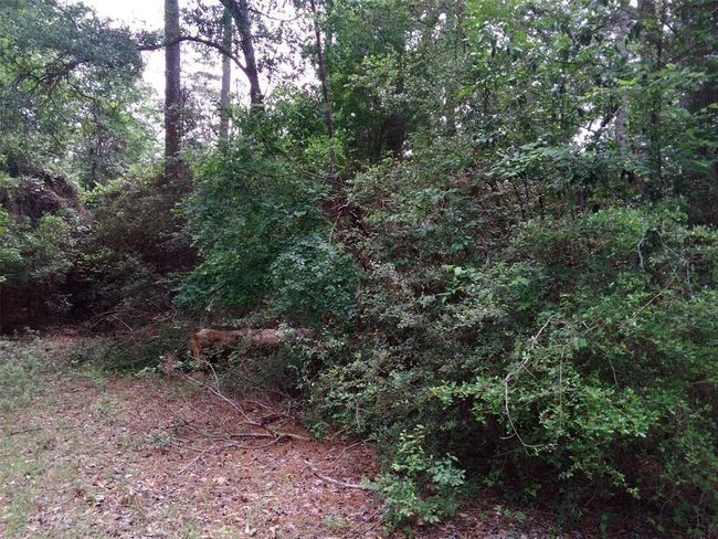 13 Moose Dr, Home with 0 bedrooms, 0 bathrooms and null parking in Onalaska TX | Image 24