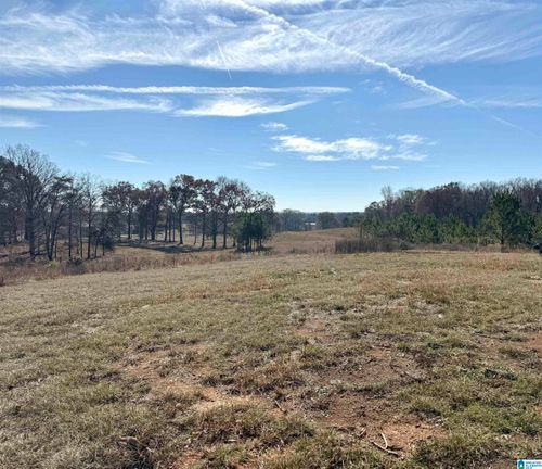 0-2884 Highway 47, Columbiana, AL, 35051-5163 | Card Image