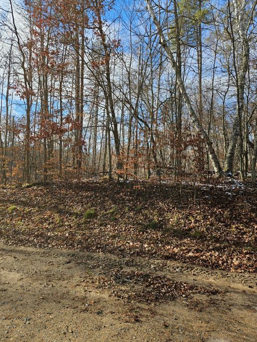 Lot 1 Racoon Ln, Pequot Lakes, MN, 56472 | Card Image
