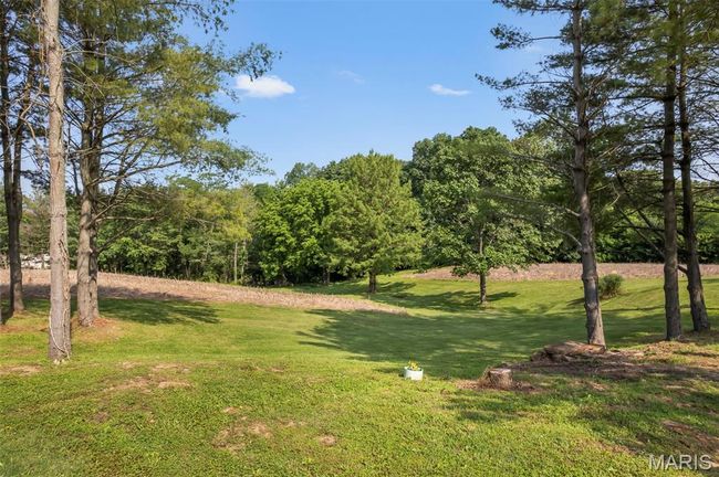 View of green lawn | Image 24