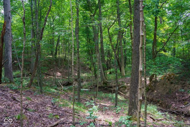 1000 N County Road 825 W, Home with 0 bedrooms, 0 bathrooms and null parking in Medora IN | Image 24