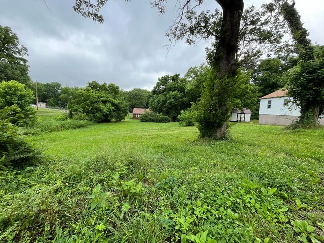 Lot in Thayer, MO 3 | Image 4