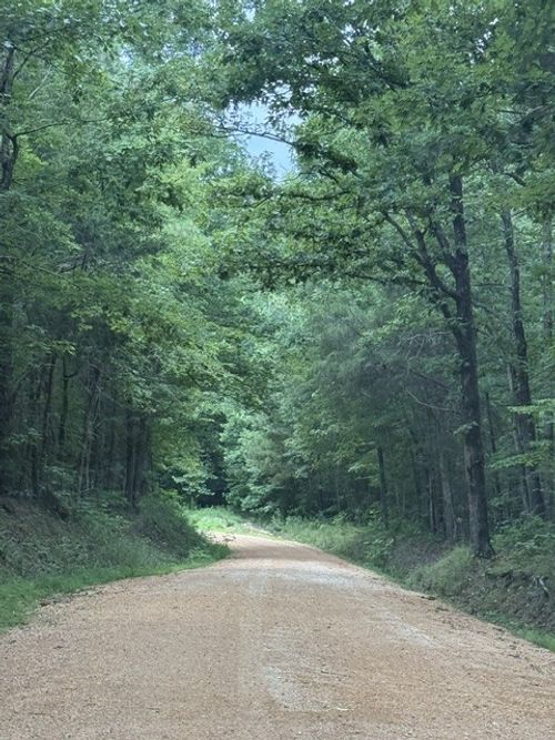 0 Old Sh 69, Sugar Tree, TN, 38380 | Card Image